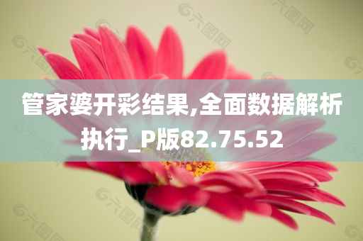 管家婆开彩结果,全面数据解析执行_P版82.75.52