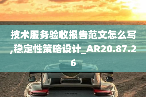 技术服务验收报告范文怎么写,稳定性策略设计_AR20.87.26