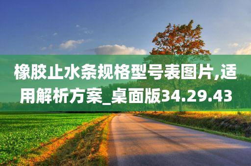 橡胶止水条规格型号表图片,适用解析方案_桌面版34.29.43