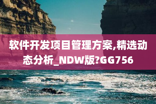 软件开发项目管理方案,精选动态分析_NDW版?GG756