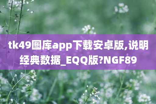 tk49图库app下载安卓版,说明经典数据_EQQ版?NGF89