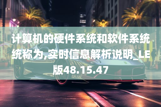 计算机的硬件系统和软件系统统称为,实时信息解析说明_LE版48.15.47