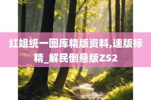 红姐统一图库精版资料,速版标精_解民倒悬版ZS2