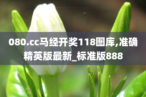 080.cc马经开奖118图库,准确精英版最新_标准版888