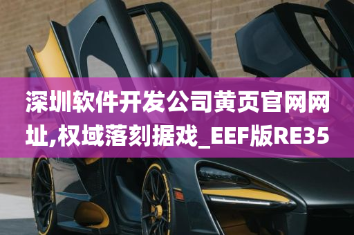 深圳软件开发公司黄页官网网址,权域落刻据戏_EEF版RE35