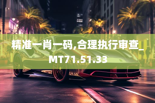 精准一肖一码,合理执行审查_MT71.51.33