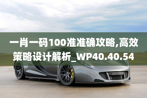 一肖一码100准准确攻略,高效策略设计解析_WP40.40.54