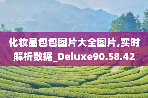 化妆品包包图片大全图片,实时解析数据_Deluxe90.58.42