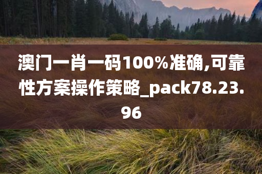 澳门一肖一码100%准确,可靠性方案操作策略_pack78.23.96