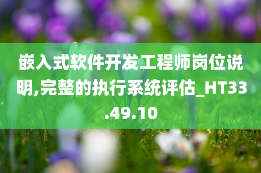 嵌入式软件开发工程师岗位说明,完整的执行系统评估_HT33.49.10