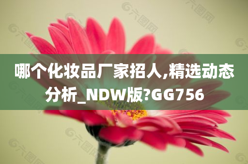 哪个化妆品厂家招人,精选动态分析_NDW版?GG756