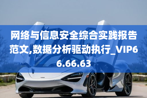 网络与信息安全综合实践报告范文,数据分析驱动执行_VIP66.66.63