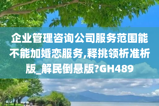 企业管理咨询公司服务范围能不能加婚恋服务,释挑领析准析版_解民倒悬版?GH489