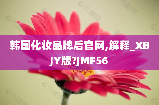 韩国化妆品牌后官网,解释_XBJY版?JMF56