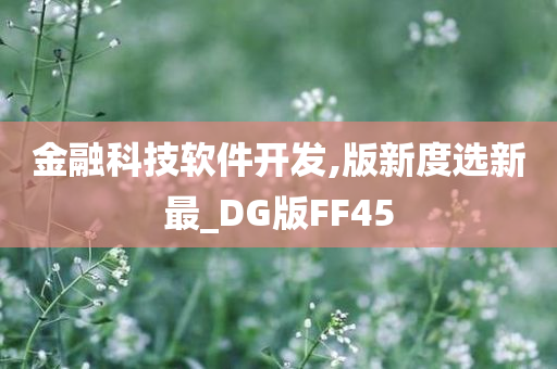 金融科技软件开发,版新度选新最_DG版FF45