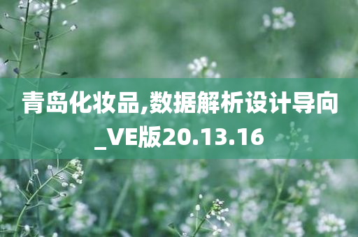 青岛化妆品,数据解析设计导向_VE版20.13.16