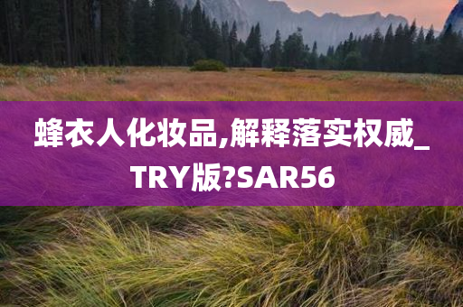 蜂衣人化妆品,解释落实权威_TRY版?SAR56