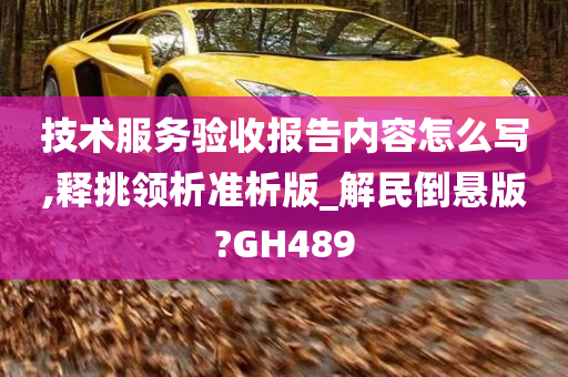 技术服务验收报告内容怎么写,释挑领析准析版_解民倒悬版?GH489