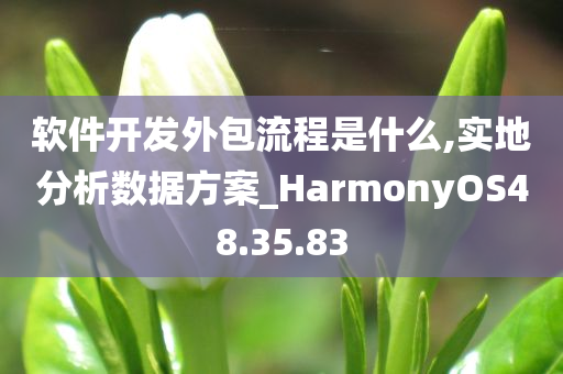 软件开发外包流程是什么,实地分析数据方案_HarmonyOS48.35.83