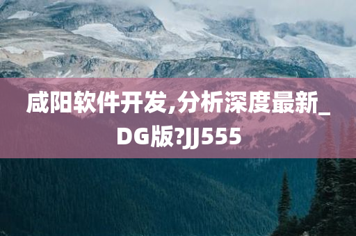 咸阳软件开发,分析深度最新_DG版?JJ555