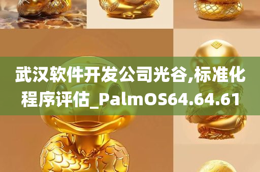 武汉软件开发公司光谷,标准化程序评估_PalmOS64.64.61