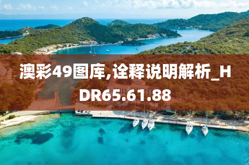 澳彩49图库,诠释说明解析_HDR65.61.88