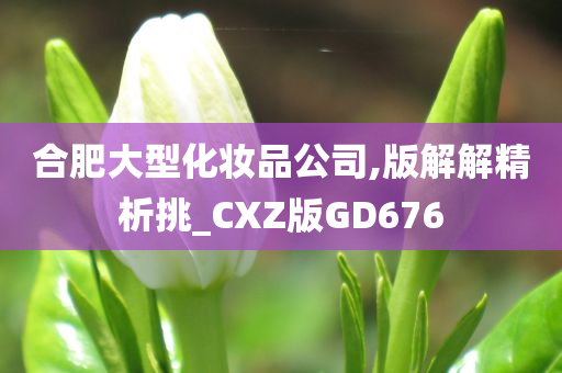 合肥大型化妆品公司,版解解精析挑_CXZ版GD676