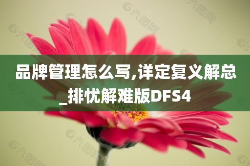 品牌管理怎么写,详定复义解总_排忧解难版DFS4