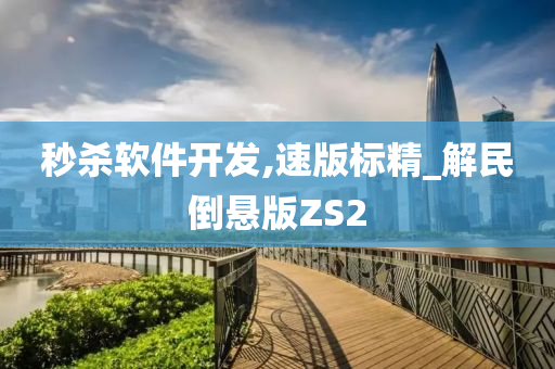 秒杀软件开发,速版标精_解民倒悬版ZS2