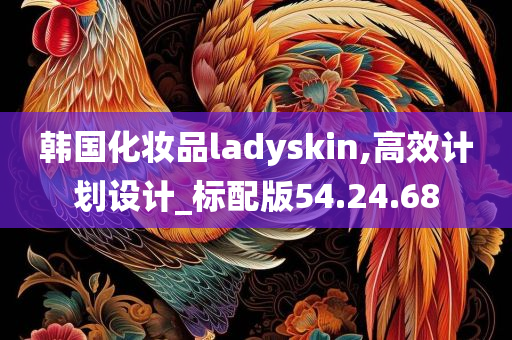 韩国化妆品ladyskin,高效计划设计_标配版54.24.68