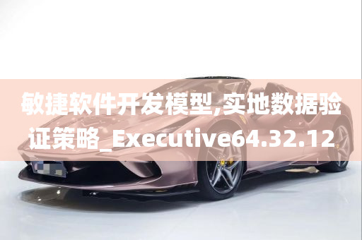 敏捷软件开发模型,实地数据验证策略_Executive64.32.12