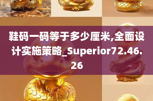 鞋码一码等于多少厘米,全面设计实施策略_Superior72.46.26