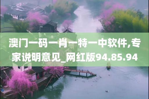 澳门一码一肖一特一中软件,专家说明意见_网红版94.85.94