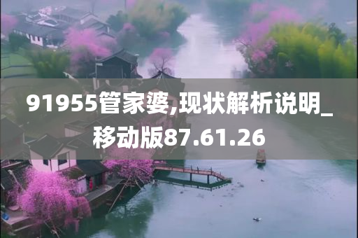 91955管家婆,现状解析说明_移动版87.61.26