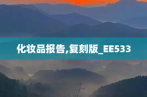 化妆品报告,复刻版_EE533