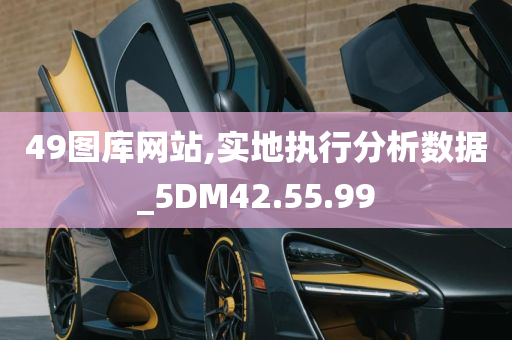 49图库网站,实地执行分析数据_5DM42.55.99