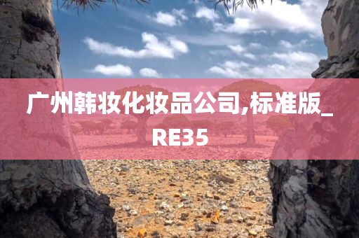 广州韩妆化妆品公司,标准版_RE35