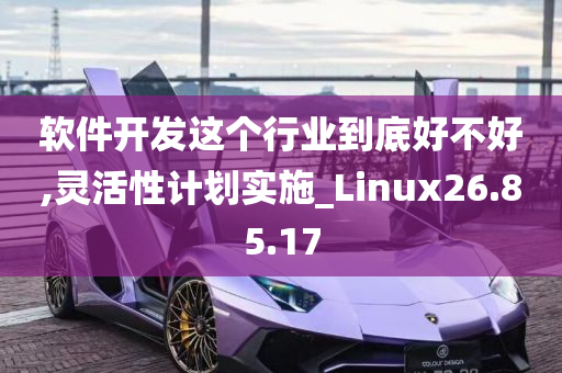 软件开发这个行业到底好不好,灵活性计划实施_Linux26.85.17