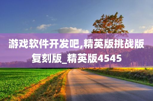 游戏软件开发吧,精英版挑战版复刻版_精英版4545