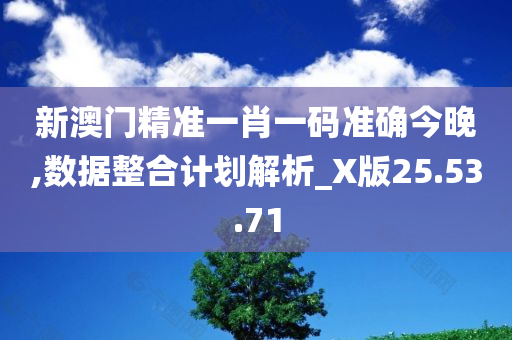 新澳门精准一肖一码准确今晚,数据整合计划解析_X版25.53.71