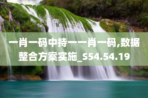 一肖一码中持一一肖一码,数据整合方案实施_S54.54.19