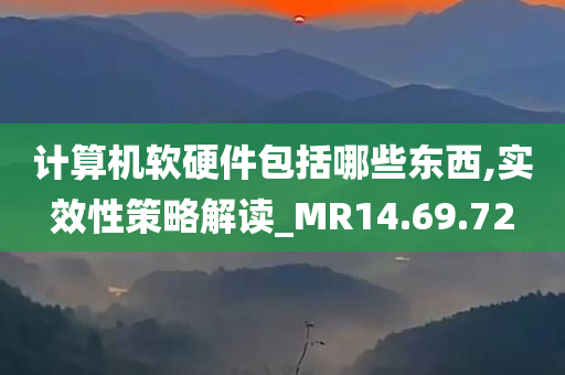 计算机软硬件包括哪些东西,实效性策略解读_MR14.69.72