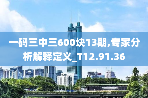 一码三中三600块13期,专家分析解释定义_T12.91.36