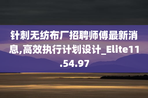 针刺无纺布厂招聘师傅最新消息,高效执行计划设计_Elite11.54.97