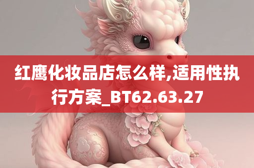 红鹰化妆品店怎么样,适用性执行方案_BT62.63.27