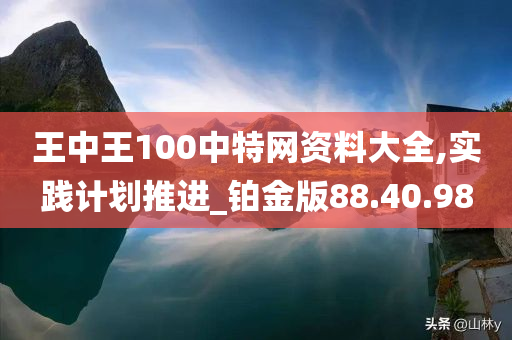 王中王100中特网资料大全,实践计划推进_铂金版88.40.98