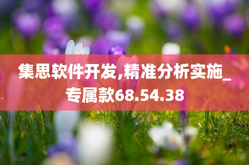 集思软件开发,精准分析实施_专属款68.54.38