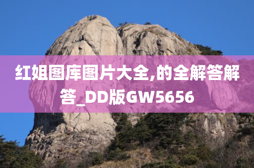 红姐图库图片大全,的全解答解答_DD版GW5656