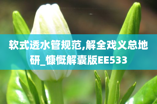 软式透水管规范,解全戏义总地研_慷慨解囊版EE533