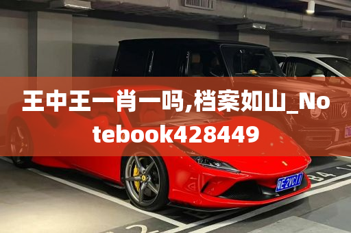 王中王一肖一吗,档案如山_Notebook428449